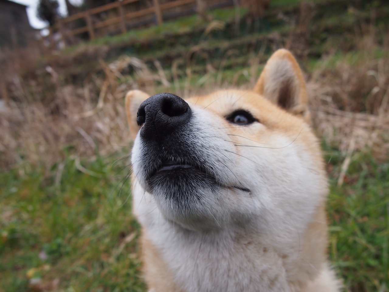 产业融合：汽车制造商的赛场新布局，汽车产业链技术服务平台